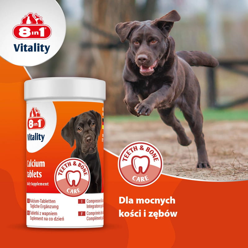 8in1 Vitality Wapń Witaminy dla psów kości i zęby 155 tabletek 3.jpg